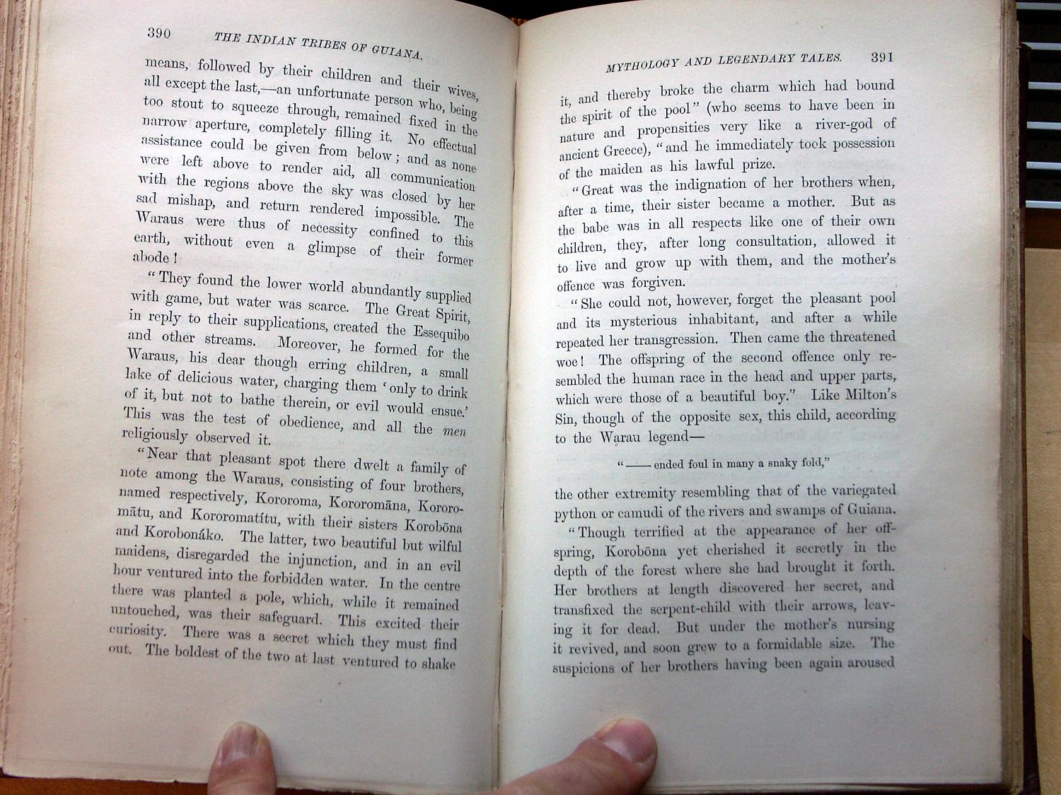 zz-bret68,s.390 schlangenkind